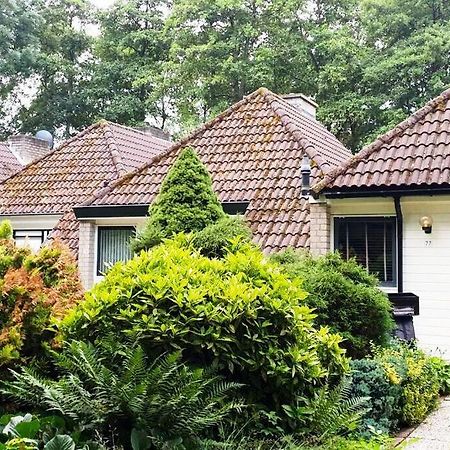 Ervaar Vredige Rust In Deze Charmante Knusse Bungalow Posterholt Eksteriør bilde